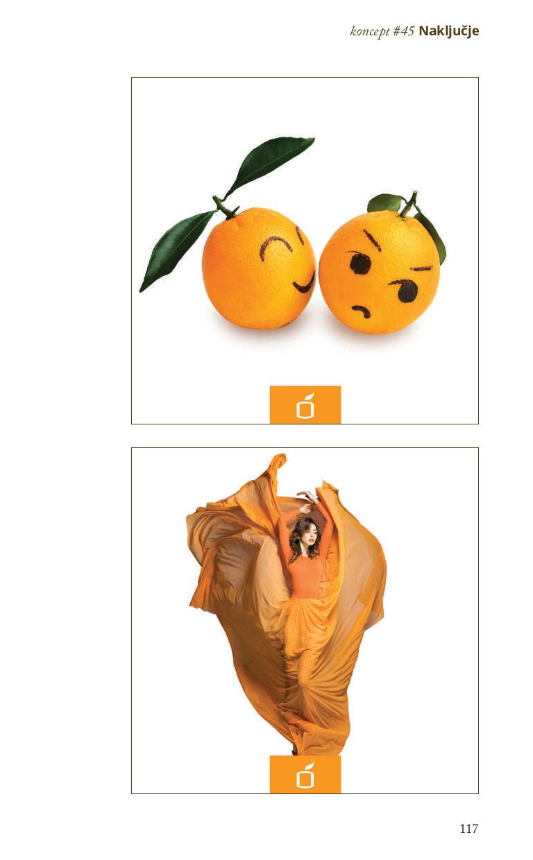 prirocnik-facebook-objave-page-117